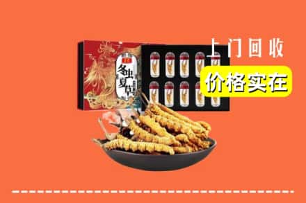 毕节织金县回收冬虫夏草